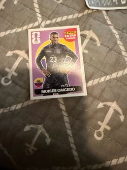 Moisés caicedo extra stickers purple