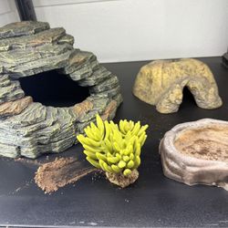 Reptile Decor 