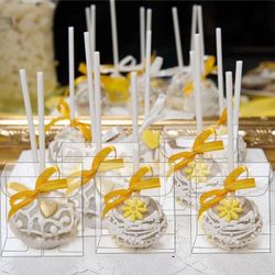 Tuanse 150 Packs Clear Cake Pop Holder