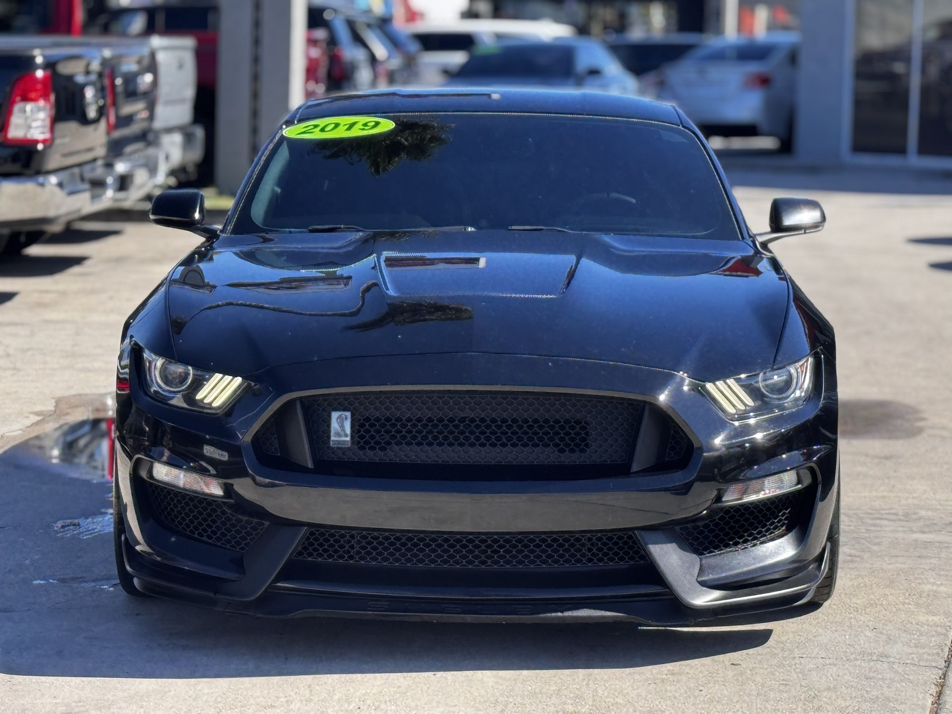 2019 Ford Shelby Gt350