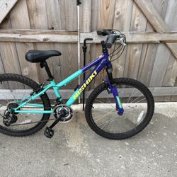 Nishiki Pueblo Bike