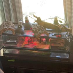 Exo Terra Reptile Terrarium & Accessories 