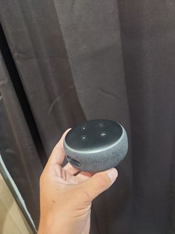 Echo dot