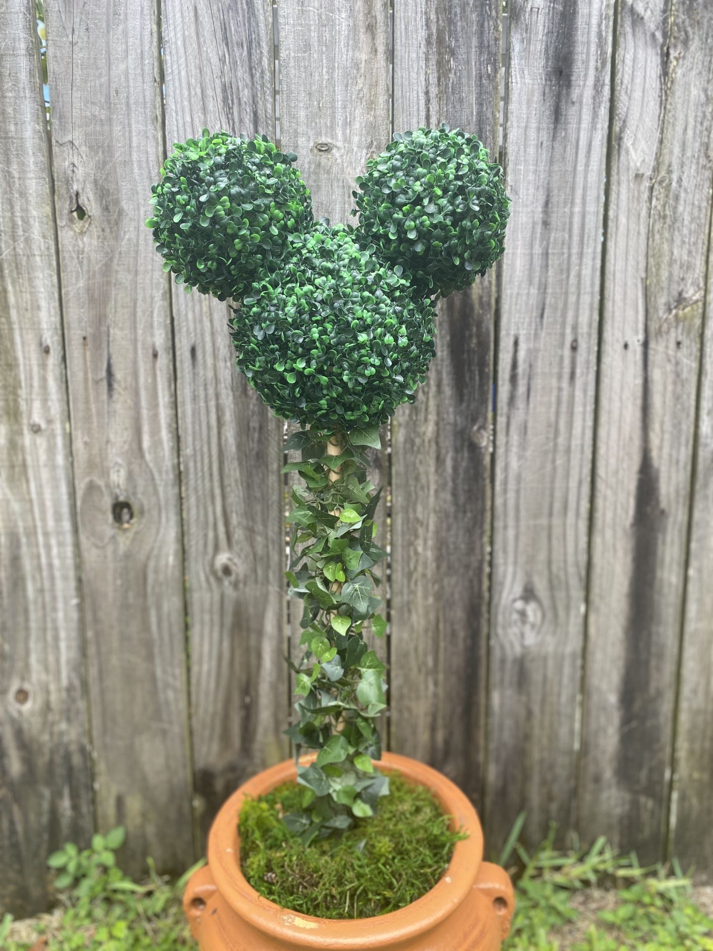 Mickey Mouse Topiary