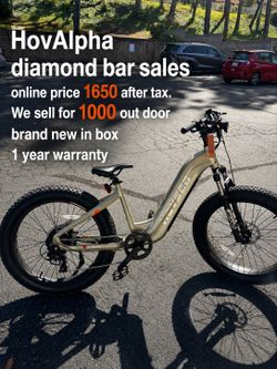 Premium Ebike HOVSCO alpha at wholesale price