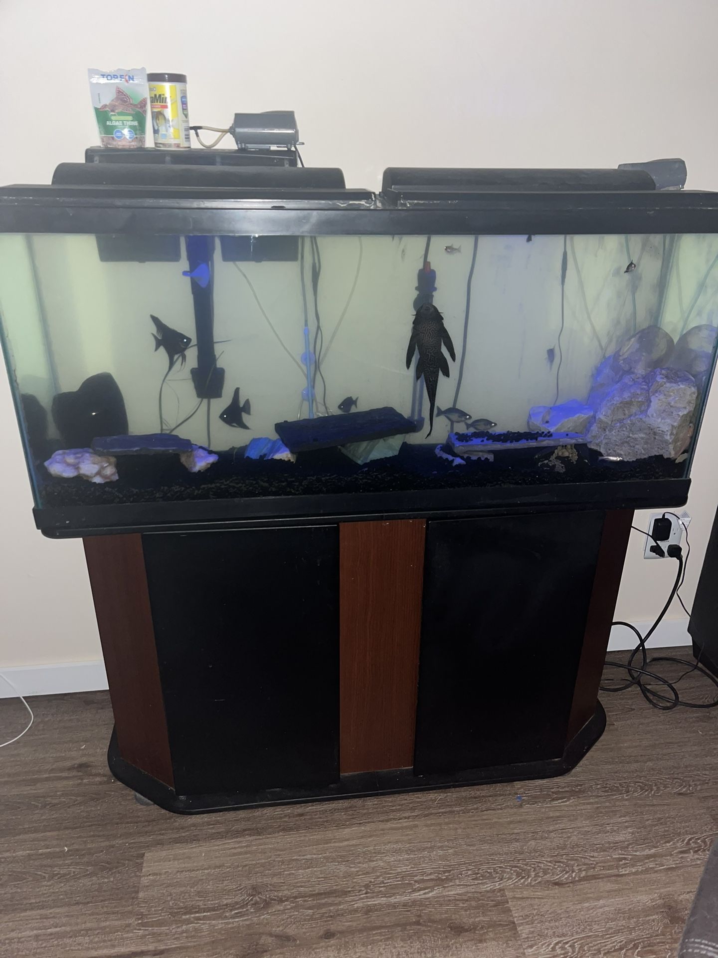 Fish Tank With Stand.