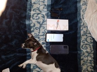 phone