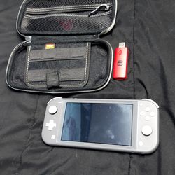 Nintendo switch lite with minecraft and animal crossing