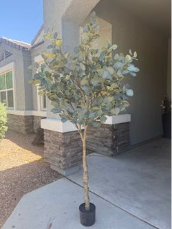 LYERSE 6ft Artificial Eucalyptus Tree in Plastic Nursery Pot