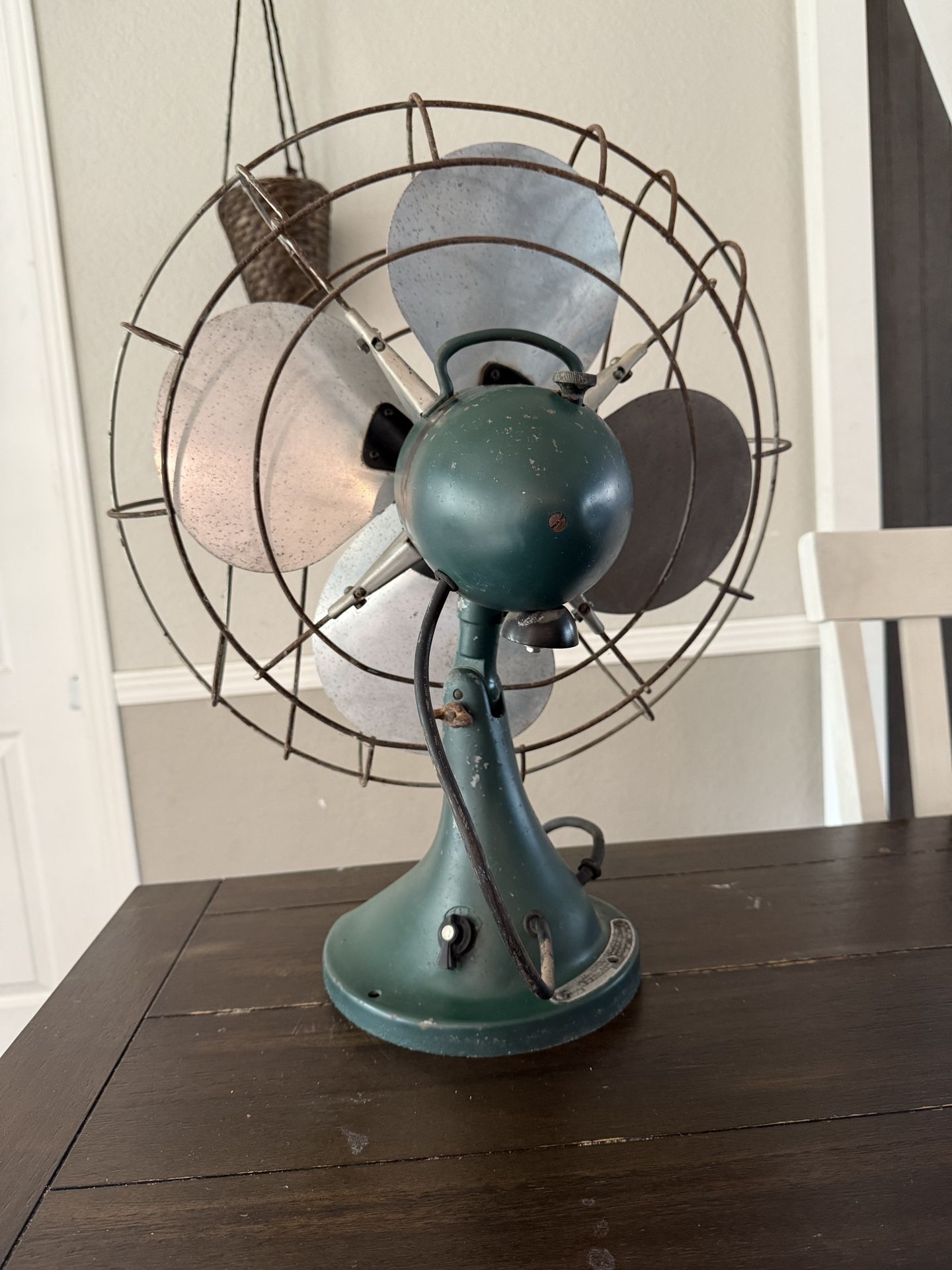 Vintage Hunter Zoo hair Fan