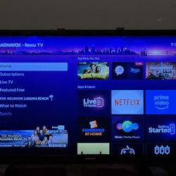 Magnavox SmartTV,Roku