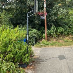 Basketball Hoop