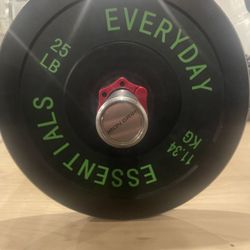 Iron Grip 5ft Barbell With Bumper Plates