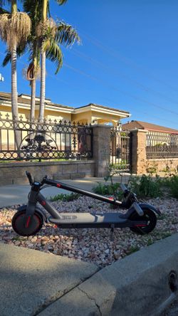 Electric adult scooter