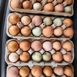 Farm Fresh Eggs 
