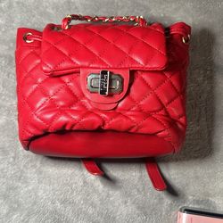 Red Purse 