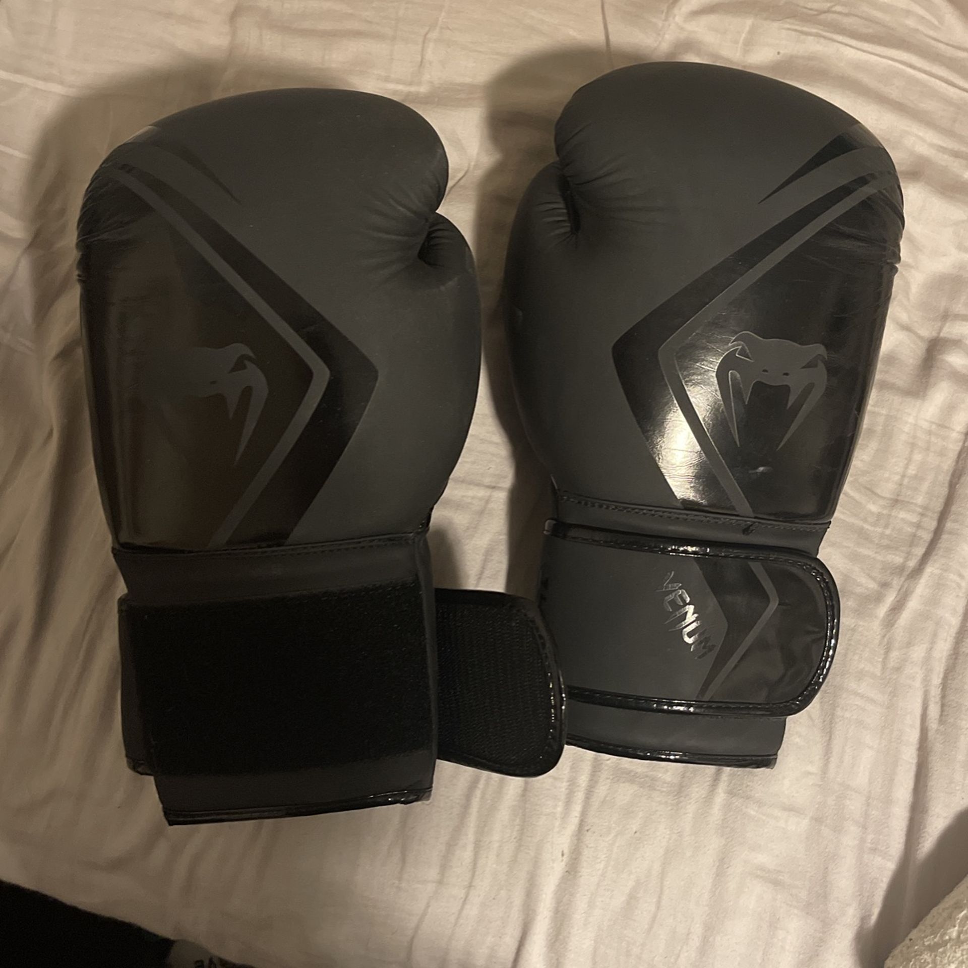 Venom Boxing Gloves