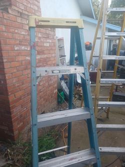 Warner Electro Master Non Cundictive Ladder