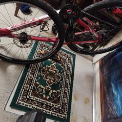 Trek Men's Bicycle Like New