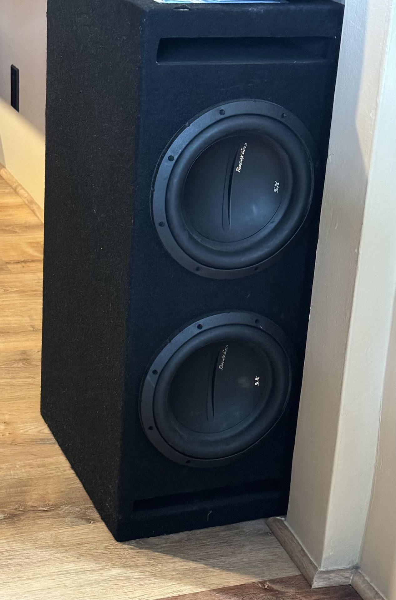 Phoenix Gold SX 10" (2) Ported Subwoofer Box