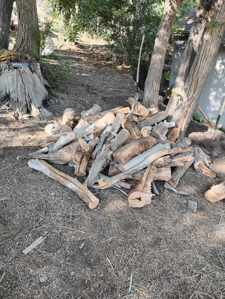 Good Quality Firewood (Logs)
