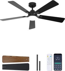 52 Inch Ceiling Fan(brand new)