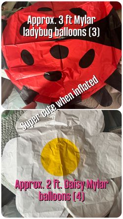 Left over Ladybug theme party