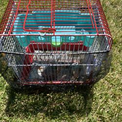 Bird Cage