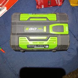 Eco 56v Battery 