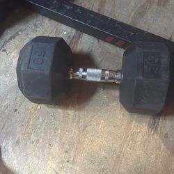 50 Pound Dumbbell 