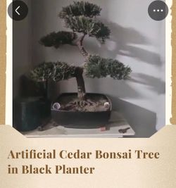Artificial Cedar Bonsai Tree in Black Planter