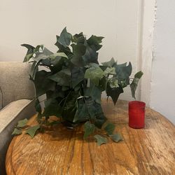 Little Fake Plant 