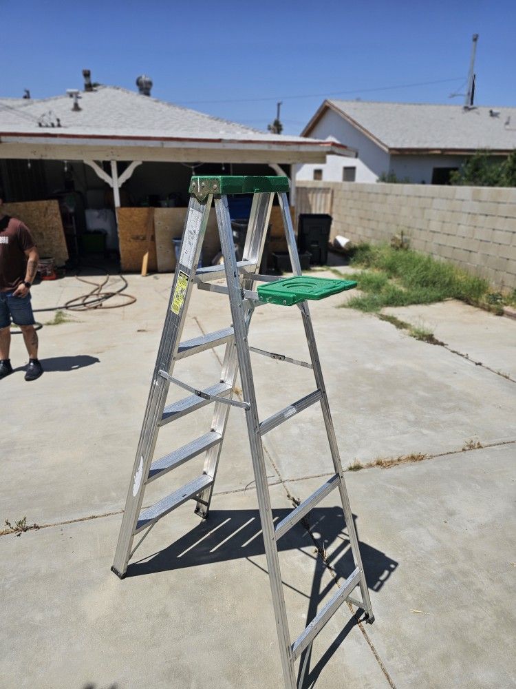 6 FT Ladder