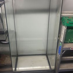 Skyscraper Terrarium