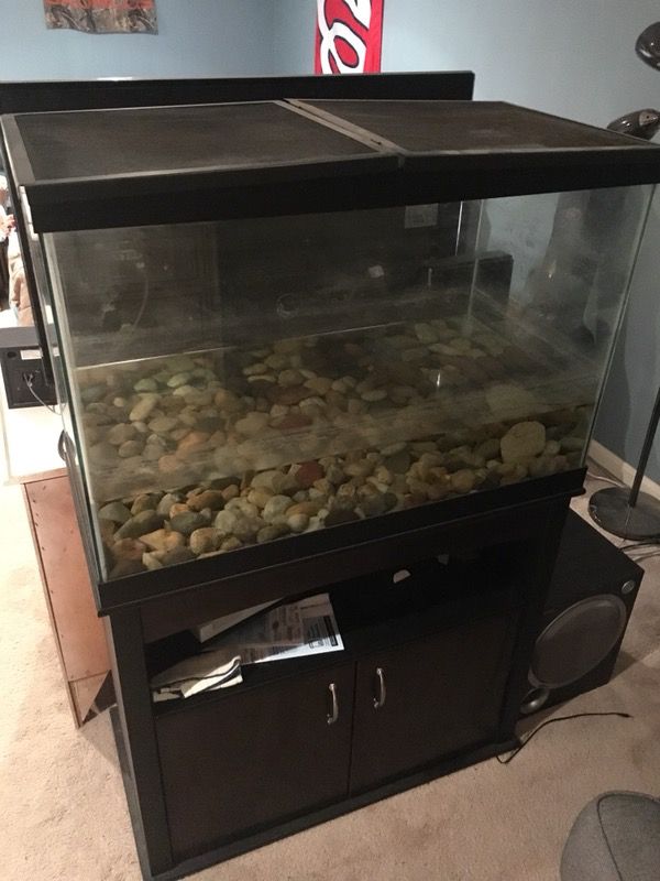65 gallon aquarium. Fish tank, reptile tank