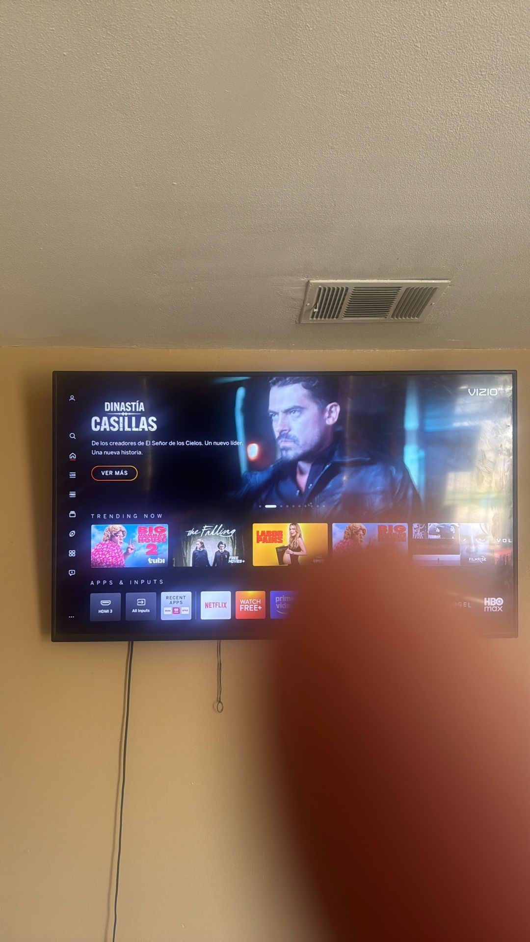 Vizio