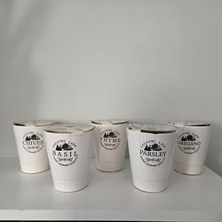 Herb Plants Growing Pots with Seeds