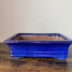 Bonsai Glazed Ceramic Pot 14X11