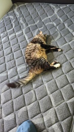 Full mattress