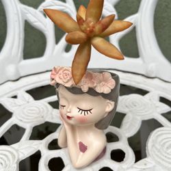 Pretty Doll Ceramic pot Succulent 