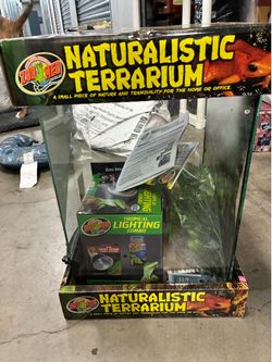 Naturalistic Terrarium