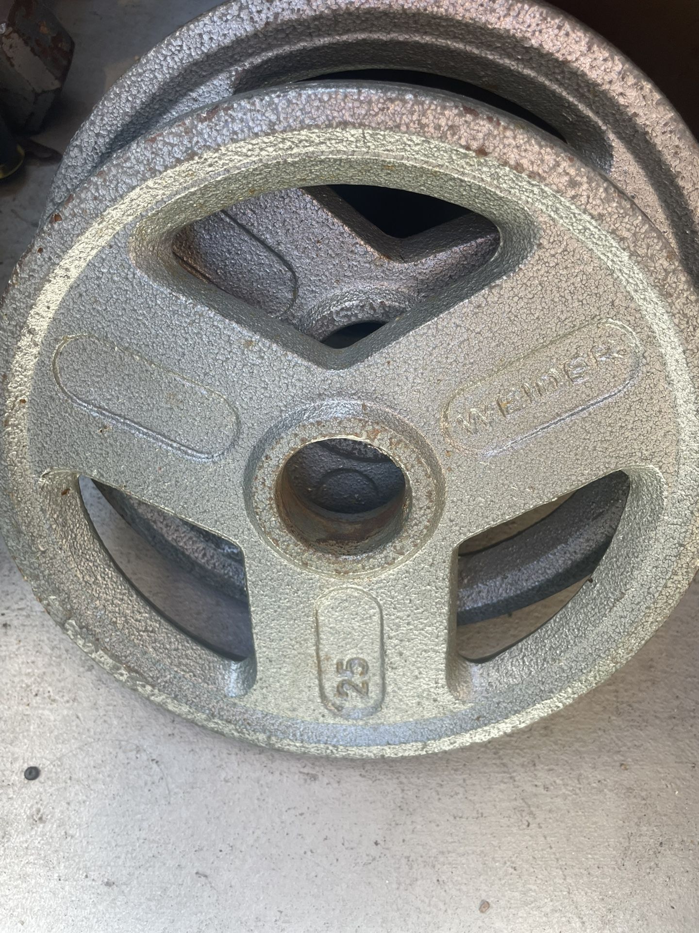 25 Lb Plate Weights 