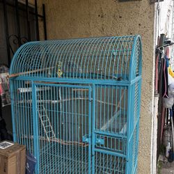 Bird cage / Jaula