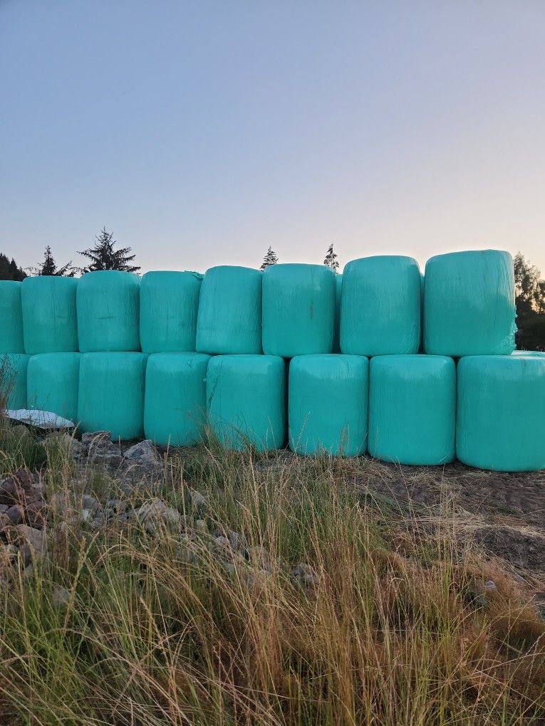 5x4 Haylage Bales