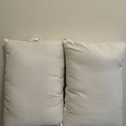 2 Queen Size Pillows 