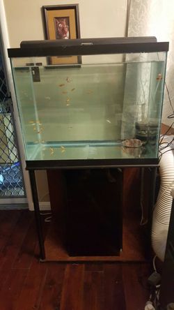 60 gal fish tank