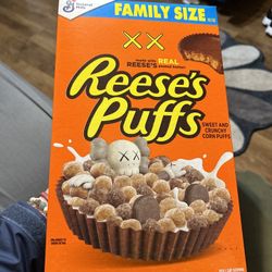 Kaws X Reese’s Puffs