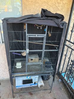 Bird cage