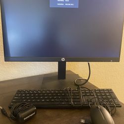Computer Monitor Hp
