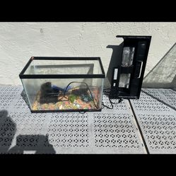 20 gallon fish tank (with heater and decor)